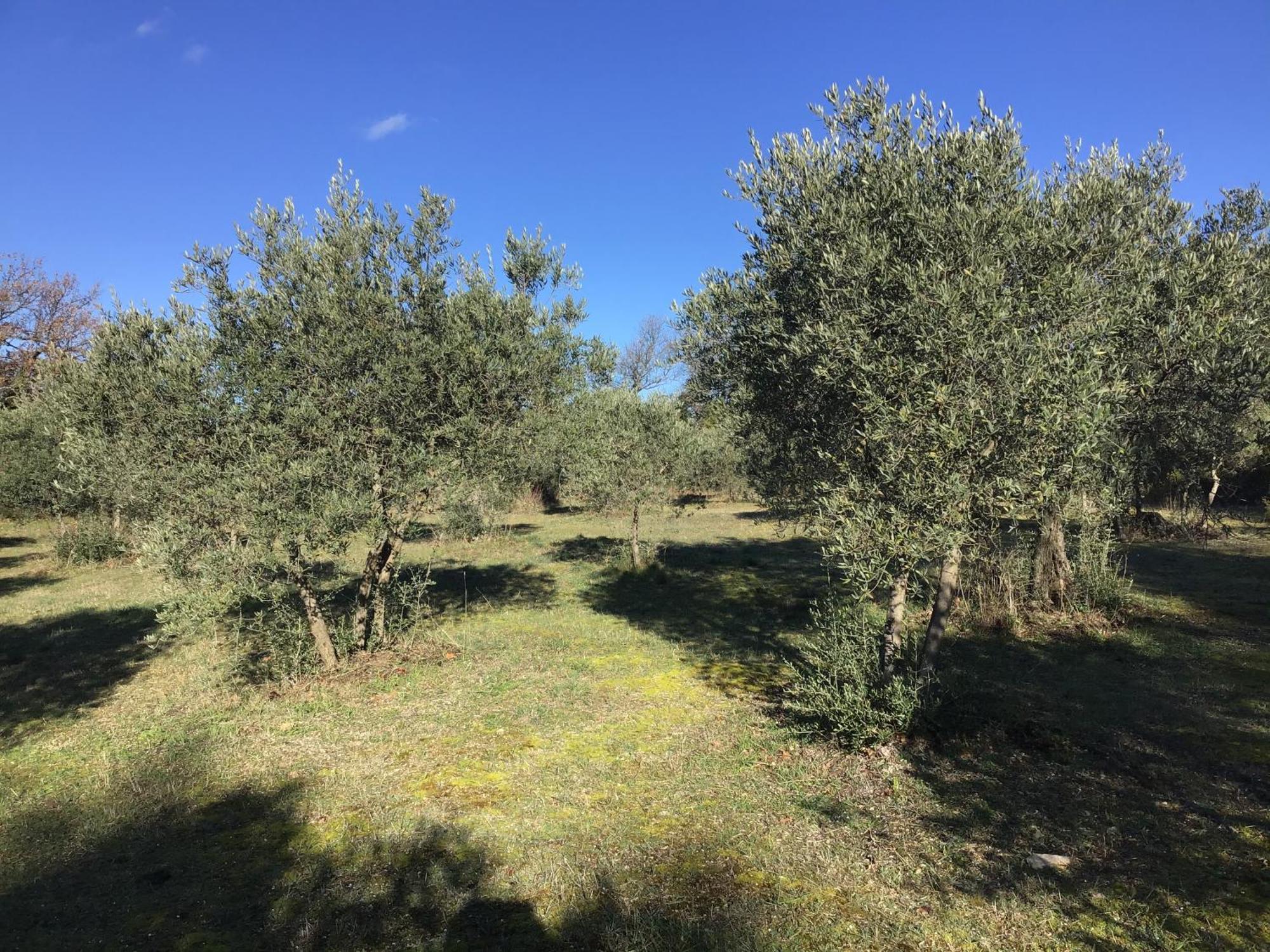 Le Verger Gordes Exteriér fotografie