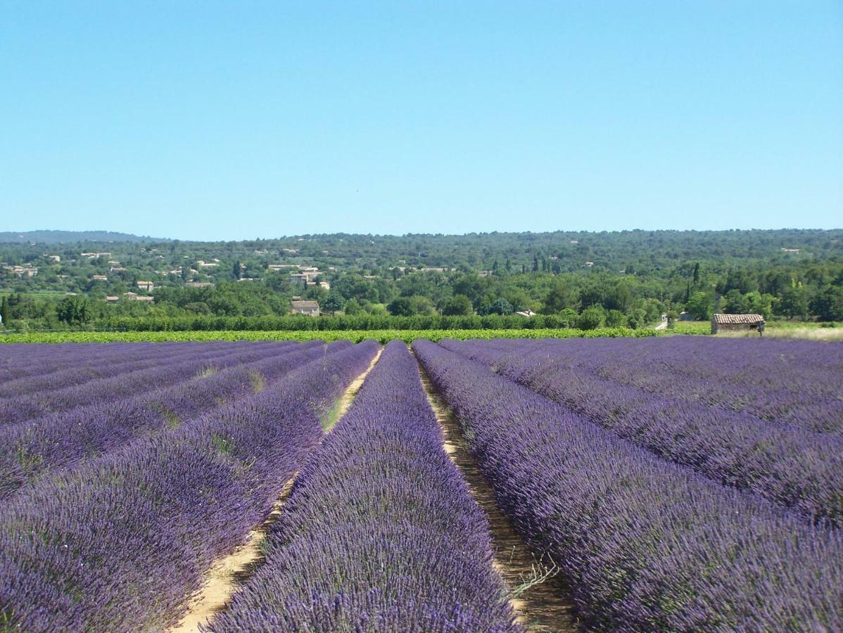 Le Verger Gordes Exteriér fotografie